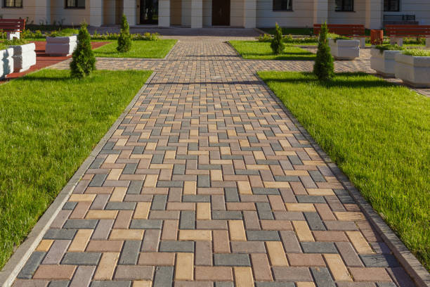 Best Professional Driveway Pavers  in University Center, VA